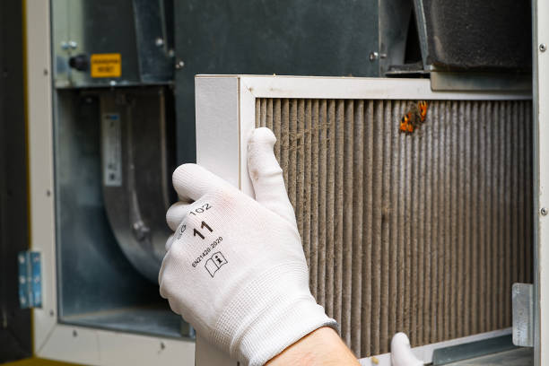 Best Affordable Air Duct Cleaning  in Clarksburg, WV